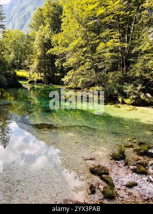 Ruhiger See mit kristallklarem Wasser, umgeben von lebhaften grünen Bäumen unter sonnigem Himmel. Die Atmosphäre spiegelt die Schönheit und Ruhe der Natur wider, perfekt Stockfoto