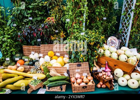 Eine prämierte Ausstellung von Obst und Gemüse auf der Malvern Autumn Show 2024. Stockfoto