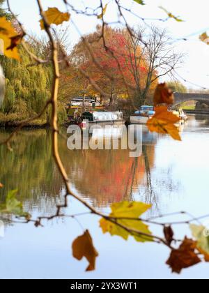 Hausboot liegt an der Themse in Abingdon. Ein schöner Blick auf die Themse in Abingdon, früh an einem klaren Morgen, mit den Bäumen, die mit Herbstkolou in Flammen stehen Stockfoto