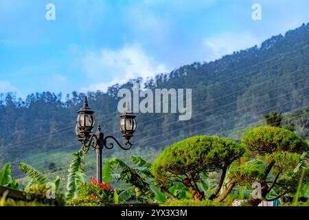 Stilvolle Gartenbeleuchtung, Die Das Ambiente Im Freien Verbessert. Friedlicher Waldweg umgeben von üppigen Bäumen. Stockfoto