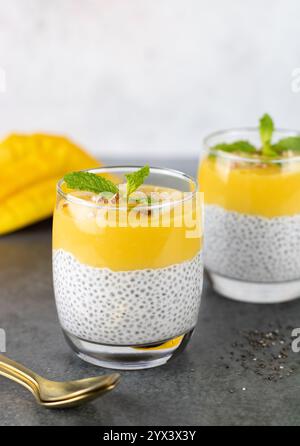 Chia Samenpudding, Kokosmilch und Mangopüree. Ein veganes, rohzuckerfreies Dessert aus Chiasamen und frischer Mango. Stockfoto