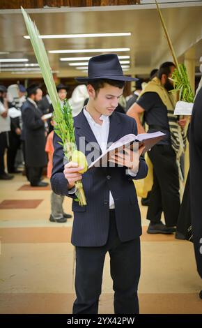 Ein orthodoxer jüdischer Mann segnet die vier Sukkot-Arten in der Chabad-Synagoge in Crown Heights, Brooklyn, New York. Stockfoto