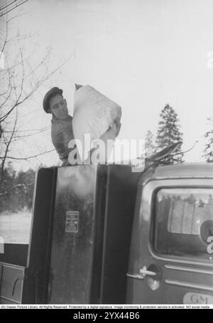 Holzgas 1942. Ein Mann füllt mehr Kohle in den Behälter, um die Holzgasanlage zu betanken. Ein natürliches Merkmal während dieser Jahre während des Zweiten Weltkriegs war die Wood-Vergasungseinheit auf Autos und Lkws. Holzgas ist ein Gas, das bei der unvollständigen Verbrennung von Holz oder Kohle entsteht und zum Antrieb von Fahrzeugen verwendet wurde. Der Fahrer musste die Kohle selbst auffüllen und sicherstellen, dass die Verbrennung ordnungsgemäß funktioniert. Aufgrund des Treibstoffmangels während des Zweiten Weltkriegs spielte Holzgas eine wichtige Rolle für den Fortbestand des Transports. Stockfoto