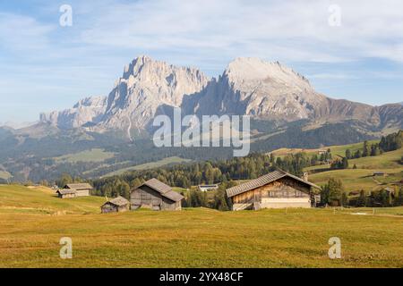 Panoramablick auf die Seiser Alm. Dolomitplateau und die größte Hochgebirgswiese Europas, Italien. Stockfoto