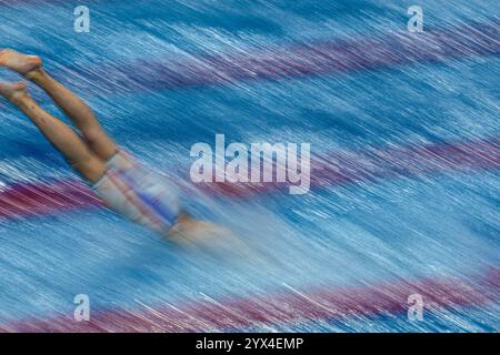 Budapest, Ungheria. Dezember 2024. The Start at Championship 25m Budapest 2024, 13. Dezember (Foto: Gian Mattia D'Alberto /LaPresse) Credit: LaPresse/Alamy Live News Stockfoto