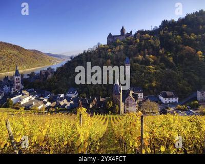 Blick auf Bacharach mit Schloss Stahleck, Burg auf einem Hügel über dem Rhein, UNESCO-Weltkulturerbe Oberes Mittelrheintal im Herbst, Rheinland-Pfalz Stockfoto