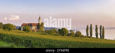 Barockkirche mit Blick auf den See bei Sonnenuntergang, umgeben von Weinbergen, Wallfahrtskirche Birnau am Bodensee, Uhldingen-Mühlhofen, Baden-Wue Stockfoto