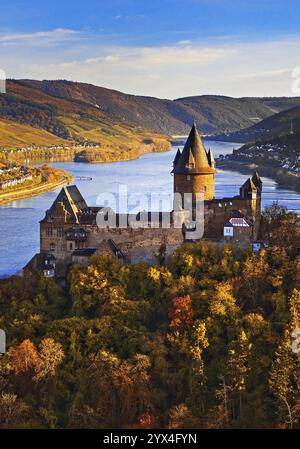 Schloss Stahleck, Burg auf einem Hügel mit Blick auf den Rhein, Bacharach, UNESCO-Weltkulturerbe Oberes Mittelrheintal, Herbst, Rheinland-Pfalz, Germa Stockfoto