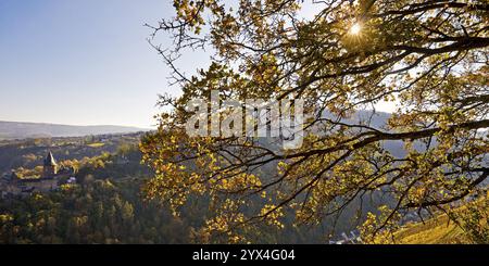 Herbstblick auf die Burg Stahleck, Bacharach, UNESCO-Weltkulturerbe Oberes Mittelrheintal, Rheinland-Pfalz, Deutschland, Europa Stockfoto