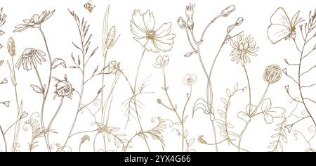 Feld, Wiese, wilde Blumen und Kräuter Kosmos, Kamille, Klee und Insekten. Strichgrafik ist eine einfache handgezeichnete Illustration in beige, ockerfarbene und braune Tinte Stock Vektor