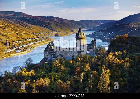 Schloss Stahleck, Burg auf einem Hügel mit Blick auf den Rhein, Bacharach, UNESCO-Weltkulturerbe Oberes Mittelrheintal, Herbst, Rheinland-Pfalz, Germa Stockfoto