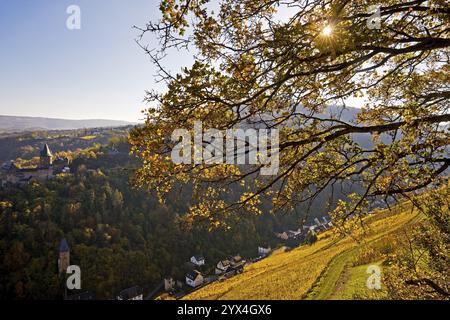 Herbstblick auf die Burg Stahleck, Bacharach, UNESCO-Weltkulturerbe Oberes Mittelrheintal, Rheinland-Pfalz, Deutschland, Europa Stockfoto