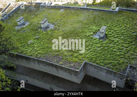 Grünes Flachdach, Collegi del Colle, Architekt Giancarlo de Carlo, Urbino, Italien, Europa Stockfoto