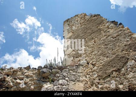 Die Festung Zrin ist eine mittelalterliche Festung an den Hängen von Zrinska Gora, Kroatien Stockfoto