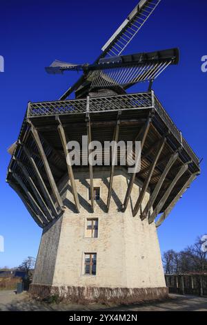 Historische Mühle, Unesco-Weltkulturerbe-Park Sanssouci, Potsdam, Brandenburg, Deutschland, Europa Stockfoto