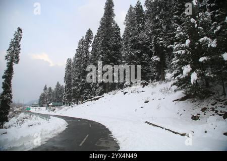 Srinagar, Indien. Dezember 2024. Neuschneefall in Heerpora Shopian in Süd-Kaschmir, Srinagar, Indien, am 12. Dezember 2024. Die Leute laufen, während die Jungen nach dem Neuschnee mit Schnee spielen. (Foto: Nisar UL Haq Allaie/Pacific Press/SIPA USA) Credit: SIPA USA/Alamy Live News Stockfoto