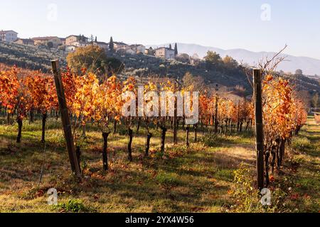 Herbstlandschaft mit Weinbergen und dem Dorf Montefalco auf einem Hügel in Umbrien, Italien. Gelbe Traubenblätter, beleuchtet von Sonnenaufgangssonne. Stockfoto