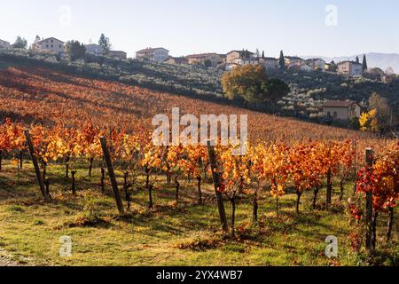 Herbstlandschaft mit Weinbergen und dem Dorf Montefalco auf einem Hügel in Umbrien, Italien. Gelbe Traubenblätter, beleuchtet von Sonnenaufgangssonne. Stockfoto