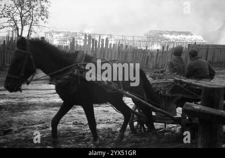 Russland 1943 Rückzug deutscher Soldaten auf Pferdewagen vor brennenden Häusern in einem Dorf im Pripjet-Marsch zwischen Mogilew, Bobruiks und Rogatschow. Aufgrund der verbrannten Erdordnung wurden Siedlungen und Vorräte während des Rückzugs zerstört. Army Group Center, im Bereich der 110. Infanteriedivision. [Automatisierte Übersetzung] Stockfoto