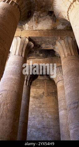 Hieroglyphen und Säulen im Tempel von Edfu, Ägypten Stockfoto