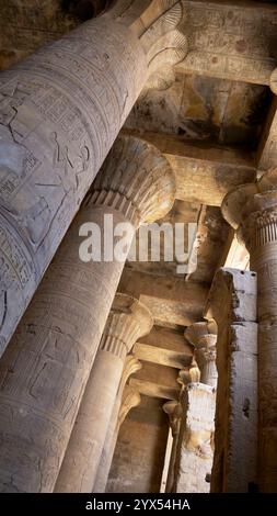 Hieroglyphen und Säulen im Tempel von Edfu, Ägypten Stockfoto