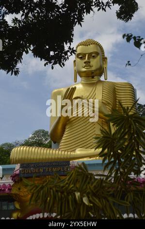 Die Statue des Buddha im Goldenen Tempel, Sri lanka. Stockfoto