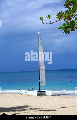 Kleine Passagieryacht an einem karibischen Strand in Grenada mit türkisfarbenem Meer und klarem blauem Himmel. Stockfoto