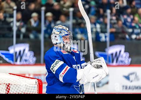 Joacim Eriksson (60, Goalie, Schwenninger Wild Wings) GER, Schwenninger Wild Wings vs Löwen Frankfurt, Eishockey, DEB, DEL, Saison 2024/25, Spieltag 25, 13.12.2024, Foto: Eibner-Pressefoto/Florian Wolf Stockfoto