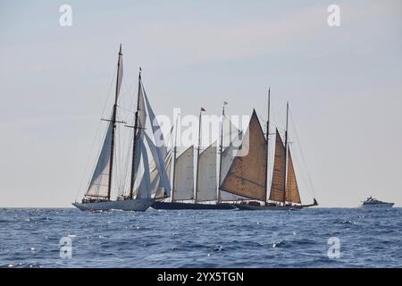 Klassische Segelyachten, die an einem sonnigen Tag an einer Open Water Regatta teilnehmen Stockfoto