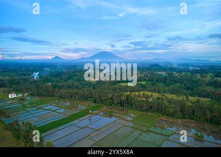 Panorama des Mount Agung und der Reisfelder auf der Insel Bali Stockfoto