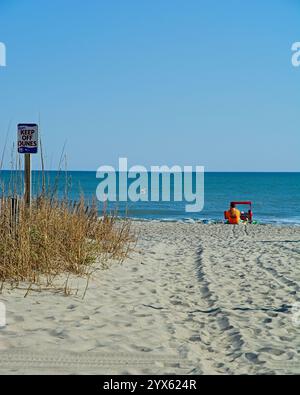 Einsame Seeschwalben fliegen an der Familie vorbei Genießen Sie den Morgen am Atlantischen Ozean Strand Stockfoto