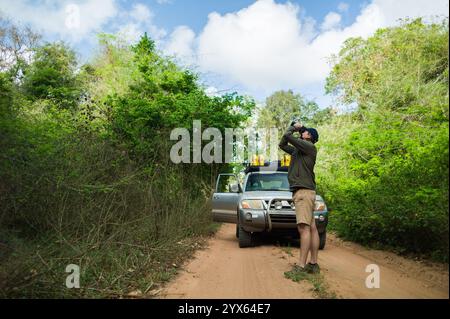 Ein Mann sucht nach Vögeln auf einer Fahrt im Geländewagen durch die Miombo-Wälder von Mhpingwe, Provinz Sofala, Mosambik, bekannt für viele besondere Arten Stockfoto