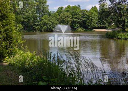 Ruhige Aussicht auf einen friedlichen See, umgeben von üppigem Grün, mit einem Brunnen, der an einem sonnigen Tag Wasser in der Mitte sprüht Stockfoto