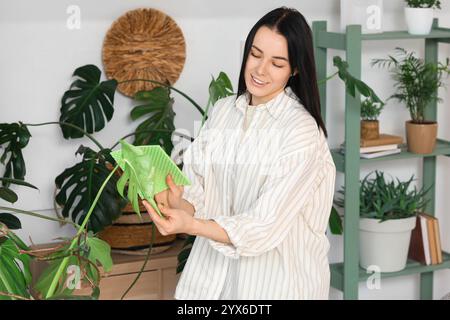 Schöne junge Frau mit Lappen, die zu Hause Staub auf der Zimmerpflanze abwischen Stockfoto