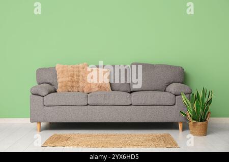 Inneneinrichtung des stilvollen Wohnzimmers mit komfortablem Sofa und Zimmerpflanze in der Nähe der grünen Wand Stockfoto