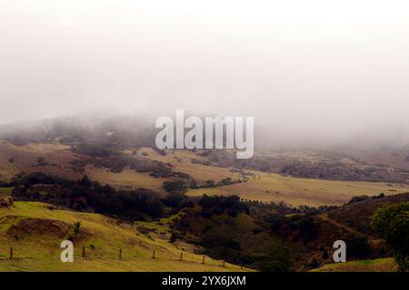 Ruhige Hügel von Saint Helena mit Nebellandschaft Stockfoto