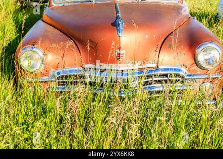 Ein altes Auto sitzt auf einem Feld mit hohem Gras. Das Auto ist rostig und hat eine verblasste rote Farbe. Das Gras ist hoch und grün, und das Auto ist umgeben von Stockfoto