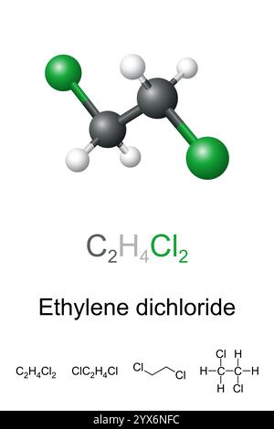 Ethylendichlorid, EDC, Molekülmodell und chemische Formel. Kugelmodell von 1,2-Dichlorethan, einer chemischen Verbindung. Stockfoto