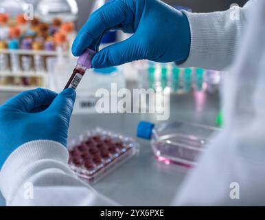 Wissenschaftler, die eine Blutprobe für die analytische Untersuchung vorbereiten. Stockfoto
