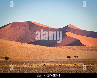 Deadvlei, tote Bäume und Sanddünen in Sossusvlei, Namib Naukluft Nationalpark, Namibia, Afrika Stockfoto