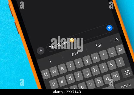 Danksagung in der Message App des Smartphones Stockfoto