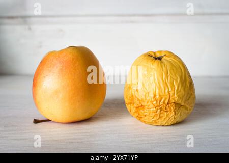 Frischer und verfaulter Apfel auf weißem Hintergrund. Frischer roter Apfel und faltiger Apfel. Jung und Alt Konzept. Konzept des Alterungsprozesses. Hautpflegekonzept. Stockfoto