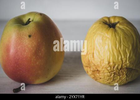 Frischer und verfaulter Apfel auf weißem Hintergrund. Frischer roter Apfel und faltiger Apfel. Jung und Alt Konzept. Konzept des Alterungsprozesses. Hautpflegekonzept. Stockfoto