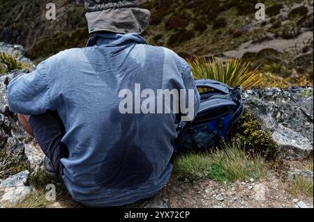 Schweiß zeigt, wo der Rucksack eines Wanderers während einer Wanderung oder eines Tramps gewesen ist. Stockfoto