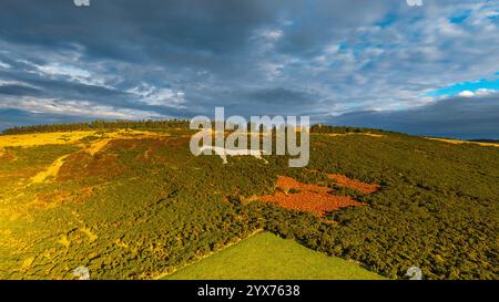 Strichen Aberdeenshire Scotland das Weiße Pferd auf Mormond Hill aus Quarz 162 m lang und 126 m hoch im frühen Winter Stockfoto