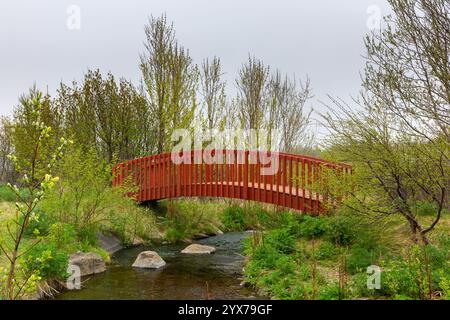 Rote Holzbogenbrücke über den geothermischen Goldfisch-Teich (Kaldbakur-Teich), heiße Quellen südlich von Husavik, Island, mit üppiger grüner Vegetation und Bäumen Stockfoto