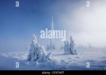 Winterlandschaft. Berggipfel, bekannt als Praded in Jeseniky Mountains, Tschechien, mit schneebedeckten Bäumen und gefrorener Senderkommunikation Stockfoto