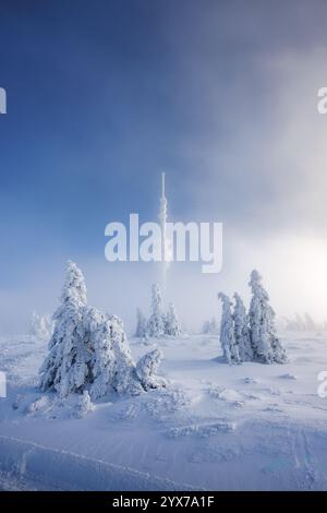 Winterlandschaft. Berggipfel, bekannt als Praded in Jeseniky Mountains, Tschechien, mit schneebedeckten Bäumen und gefrorenem Kommunikationsturm Stockfoto