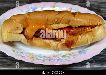 Teilweise geschnittenes langes Brötchen mit gegrillter Rinderwurst, genannt wiener (Wiener Wurst) und frankfurter Frank, mit Zwiebelscheiben und buntem b Stockfoto