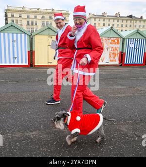 Brighton Großbritannien 14. Dezember 2024 - dieser Hund schließt sich in diesem Jahr Brighton Santa Dash entlang Hove Seafront an und sammelt Geld für die Rockinghorse ChildrenÕs Charity an einem kühlen, langweiligen Morgen entlang der Südküste : Credit Simon Dack / Alamy Live News Stockfoto